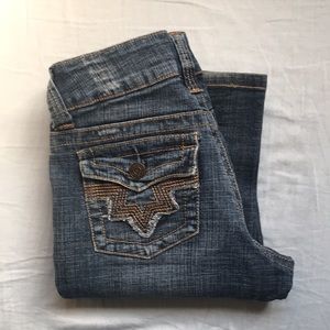 COPY - Hydraulic Super Low Metro Jeans